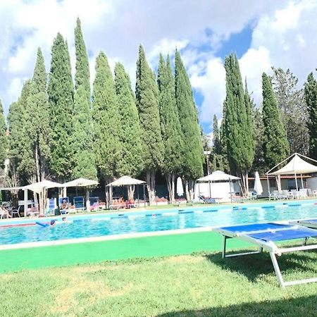 Green Nest Roma Dış mekan fotoğraf