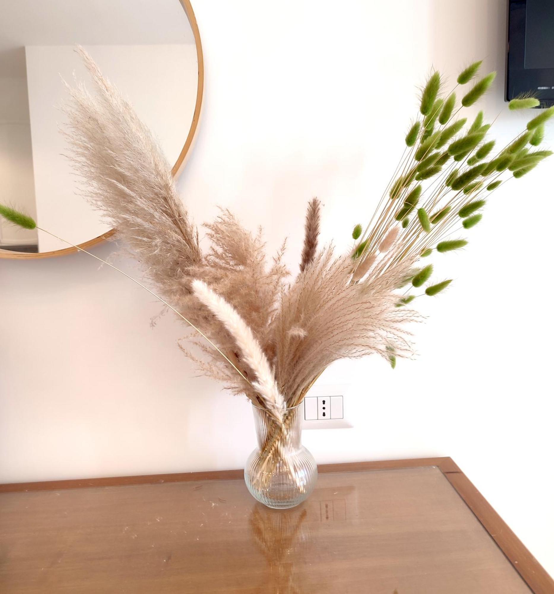 Green Nest Roma Dış mekan fotoğraf