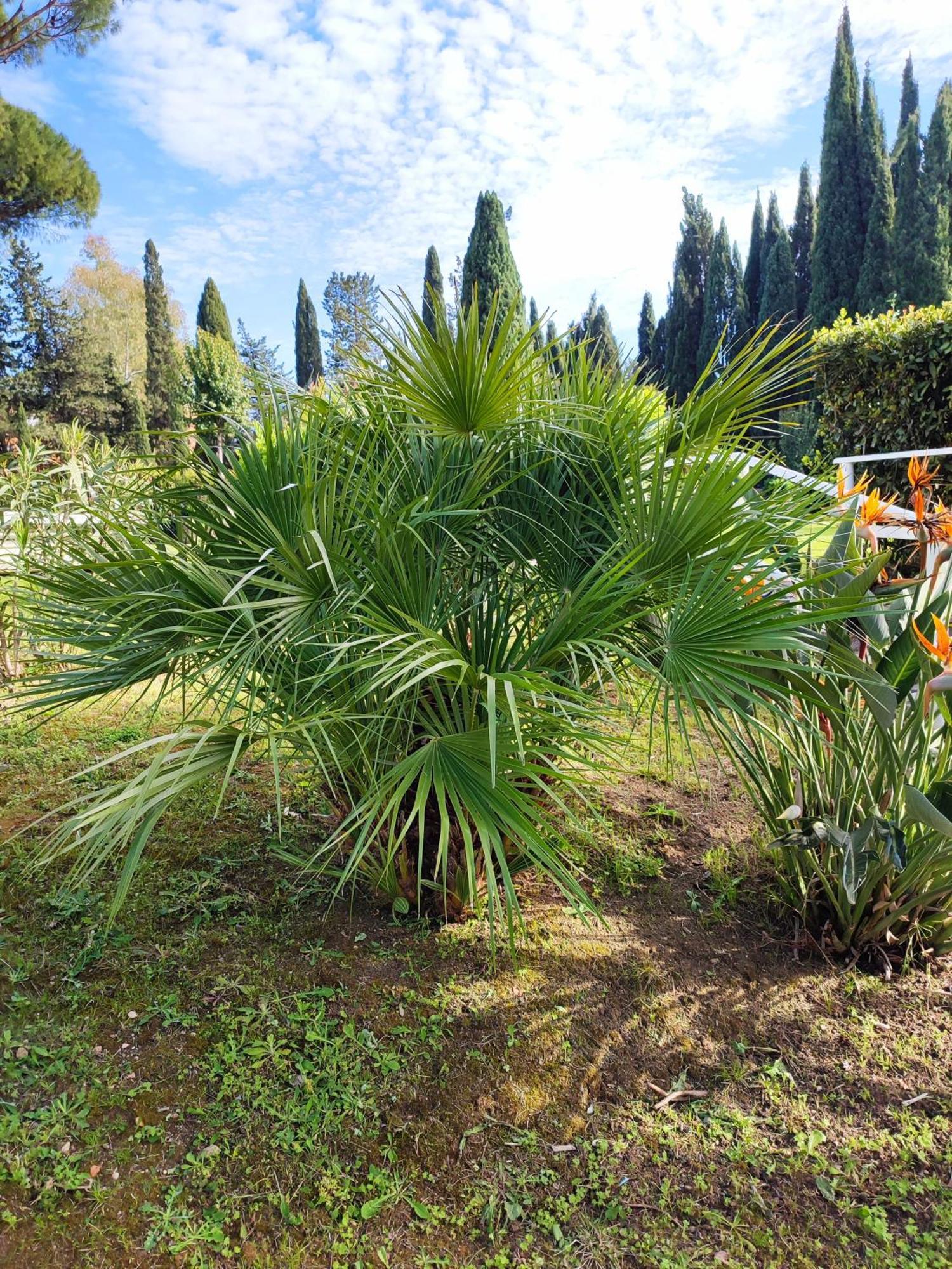 Green Nest Roma Dış mekan fotoğraf